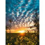 5D t&auml;isruudu teemantmaal p&auml;ikeseloojangu ristpistes teemanttikandid maastiku mosaiik lilled ja m&auml;gi kodukaunistus Full Round 20X30CM punane