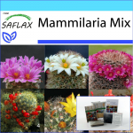 SAFLAX &ndash; Kingikomplekt &ndash; Mammillaire Mix &ndash; 40 seemet &ndash; Koos kinkekarbi, kaardi, etiketi ja potisubstraadiga &ndash; Mammilaria Mix