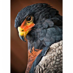 5D DIY Teemantmaali Kotkas K&auml;sit&ouml;&ouml;komplekt T&auml;is&uuml;mmargune puur Teemanttikandid Loomapildid kivikividest K&auml;sitsi valmistatud kunst kingitus Full Round 20x30CM
