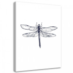 L&otilde;uendiprint Dragonfly Nature Insect 40x60 valge/must