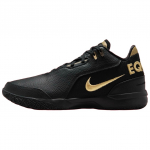 Nike Zoom LeBron NXXT Gen AMPD Equity Meeste Tossud Mitmev&auml;rviline Valge Metallik-Kuldne FJ1566-103 44