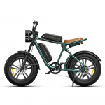 Engwe M20-D 750W 26Ah battery E-Moped With Twin Headlights 20 &times;4.0 Fat Tires 48V 750W 26Ah roheline