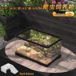 Akr&uuml;&uuml;ltervaarium roomajatele, kahepaiksetele ja putukatele - Skorpion, Konn, &Auml;mblik, Sisalik, Gekko, Mardikas, Kilpkonnakast.