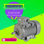 INNOMOTICS 1LE8 Seeria IE5 T&otilde;hususega Madalpinge AC Mootor