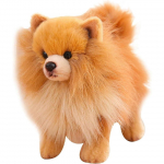 Pomeranian Pl&uuml;&uuml;s Pomeranian Pehmem&auml;nguasi Armas Simulatsioon Pomeranian Pehmem&auml;nguasi Elutruu Koer