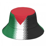 Palestiina kalurim&uuml;ts Tasuta eritellimusel valmistatud nimi number foto Palestiina rahvuslipp Tate Palestina kolledži &auml;mberm&uuml;ts