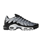 Nike Air Max Plus 'Must Metallik H&otilde;be' 40