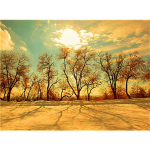 5D DIY Teemantmaal Tikandid Puude maastik Ristpistes T&auml;is&uuml;mmargune teemantmosaiik Kodukaunistus 20X30CM