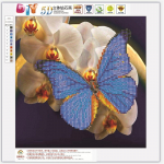 HUACAN 5D Teemantmaal Teemantmosaiik liblikas K&auml;sit&ouml;&ouml; Pilt kividest teemantmosaiik Kodukaunistus 30*30 cm