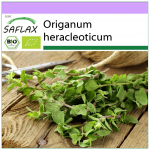 SAFLAX &ndash; Orgaaniline &ndash; Oregano &ndash; 1500 seemet &ndash; Origanum heracleoticum