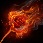 Teemantmaaling Uued roosipildid kividest 5D DIY Teemanttikandid Lillemosaiik Teemantseade Ristpiste Full Round 20x25CM