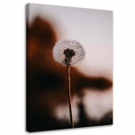 Feeby l&otilde;uenditr&uuml;kk, Lone blowfly 40x60 pruun