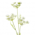 3 kahvlit, ilus kunstlill, pleekimatu peen isetegemine