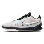 Nike LeBron 21 EP Conchiolin Unisex tossud Valge Must Bicoastal HF5842-100 38