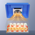 Kanamunade inkubaator, automaatne haudemunade masin 6 &uuml;he v&otilde;imsusega Single Power