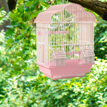 Unikaalsete lindude linnumaja M