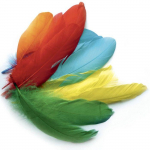 Plumes d'oie color&eacute;es assorties 15g - Graine cr&eacute;ative Multicolore - Assort.