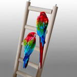 Uus Puidust Redel Papagoi Lind Lemmikloom Budgie N&auml;riline Hamster Hiir Gerbiil Puur M&auml;nguasjad 9x20cm