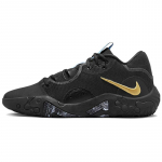 Nike Pg 6 'Black Metallic Gold' DC1974-005 41