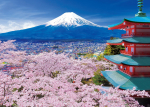 Epoch pusle Spring Breeze on Fuji and the Pagoda Yamanashi 500-osaline pusle Mt. Viiekorruseline - (38x53 cm)
