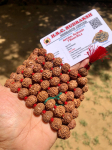 LAB SERTIFITSEERITUD 108+1 helmega India p&auml;ritolu Rudraksha Mala 7 mukhi 7 n&auml;oga (9-10 mm p&auml;rl) Lord Shiva roosikrants Jaap Mala Jooga Palve Tervendamine, Haruldane One Size white