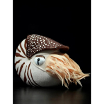 Armas armastusv&auml;&auml;rne 20x18x9CM Nautilus pl&uuml;&uuml;slelu Kambriline nautilus Nautiloidea mudel Merielu t&auml;idisloomad pehmed nukud kingitus 20x18x9CM