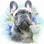 &Uuml;mmargused isetehtud teemantmaalid ristpistes k&auml;sit&ouml;&ouml; teemantmosaiiktikandid maastikuloomad kivimosaiigist kingi kaunistused koju 20x20CM