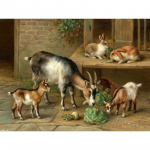 Teemantmaaling Kitse j&auml;nes 5d Teemanttikandid Sale Mosaiik Loomapildid Rhinestones Kodukaunistus 40x50cm Full Round 20x30CM