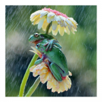 DIY 3D teemantmaaling vihma konnad tikandid ristpistes k&auml;sit&ouml;&ouml; kodukaunistus Full Round 20x20CM