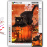 5D teemantmaal T&auml;ielik teemant Halloween k&otilde;rvitsa ja musta kassi teemantmaaling k&auml;sitsi valmistatud teemantmosaiikmaal Kodukaunistus Full Round 20X30CM