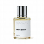 Perfumy męskie Dossier Citrus Ginger 50ml