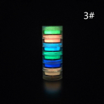 Neon Powder Nail Glitter Powder Luminous Fluorescent Glow in the Dark