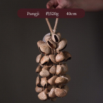 Looduslikest puuviljakoortest helisev kellukesed muusika ja jooga jaoks. Helisev kelluke L&otilde;una-Aafrikast. Haruldased algajate harjutustarvikud.