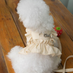 Pitsseeliksega seelik Rinnarihm Rihm Jalutamine Koer Kass Vest Riided Teddy Yorkshire Schnauzer Malta Bichon Koeratarbed Koerakaelarihmad L
