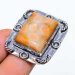 Fossil Coral Handmade 925 Sterling Silver Jewelry Ring Size 8 b5f24