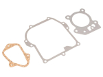 Tihendite komplekt B&S 450 500 550E 0158