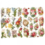 Die Cut Vintage - Compositions Florales - 2 feuilles