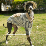 S&uuml;gis ja Talv Ka&scaron;miir K&otilde;ht Neljajalgne R&otilde;ivakangas Pehme ja Soe V&auml;ike Hurt Whippet Bellingtoni Terjer R&otilde;ivad Size 1 [3-4 kg]