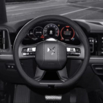 2025 New 8D Nappa leather Car Steering Wheel Cover For DS DS3 DS4 DS5 DS5LS DS6 DS7 DS9 DS4S Carbon fiber 15In Auto Accessories Black-D