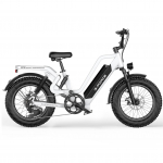 G-FORCE RS ST T&auml;iskasvanute Elektrijalgratas 750W Mootor 48V25AH Aku 20-tollised Rehvid Maastikuratas E-jalgratas M&auml;gedele Rannale Lumele Linna Liikumiseks valge