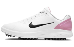 Nike Infinity Golf Wide Valge Lootus Roosa CT0535-100 42.5