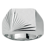 Chevali&egrave;re Argent 'Karl' 56 h&otilde;be