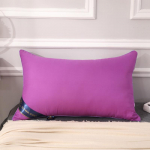 100% puuvillane Hilton Solid Color Home Pillow Manufacturers Direct Pillow 5star Hotel Pillow Core vaakumkompressioon pakend 48*74cm High pillow850g