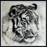 5D teemantmaaling T&auml;ielik teemanttiigri &uuml;mmargune teemantmosaiikmustriga kodukaunistus isetegemine k&auml;sitsi valmistatud 20X20cm