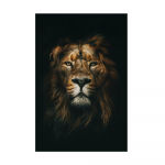 Aafrika l&otilde;vi pimedas seinas Kunst Plakatid ja v&auml;ljatr&uuml;kid Loomad L&otilde;uend Kunstpildid Nat&uuml;&uuml;rmortmaalid Kodukaunistus 50X70cm no frame