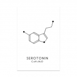 Molekul Keemiline Dopamiin Serotoniin Molekulaarvalem Keemia Teadus Seinakunst L&otilde;uendimaal Elutoa dekoratiivne plakat 70X100cm Unframed