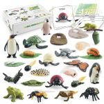 Bisofice'i eluts&uuml;kli &otilde;pe ja haridus Montessori m&auml;nguasjad V&auml;ikelaste haridus Konna loomakujud mitmev&auml;rviline