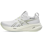 ASICS Gel Nimbus 26 White Birch Meeste tossud 1011B794-102 41.5 white