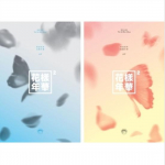 BTS &ndash; YOUNG FOREVER PT.2 (4. mini) Juhuslik 0