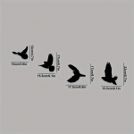 Black Birdsi metallist seinakaunistus &ndash; 4 dekoratiivlinnust koosnev komplekt, elegantne metallist seinakaunistus, stiilne kodukaunistus must